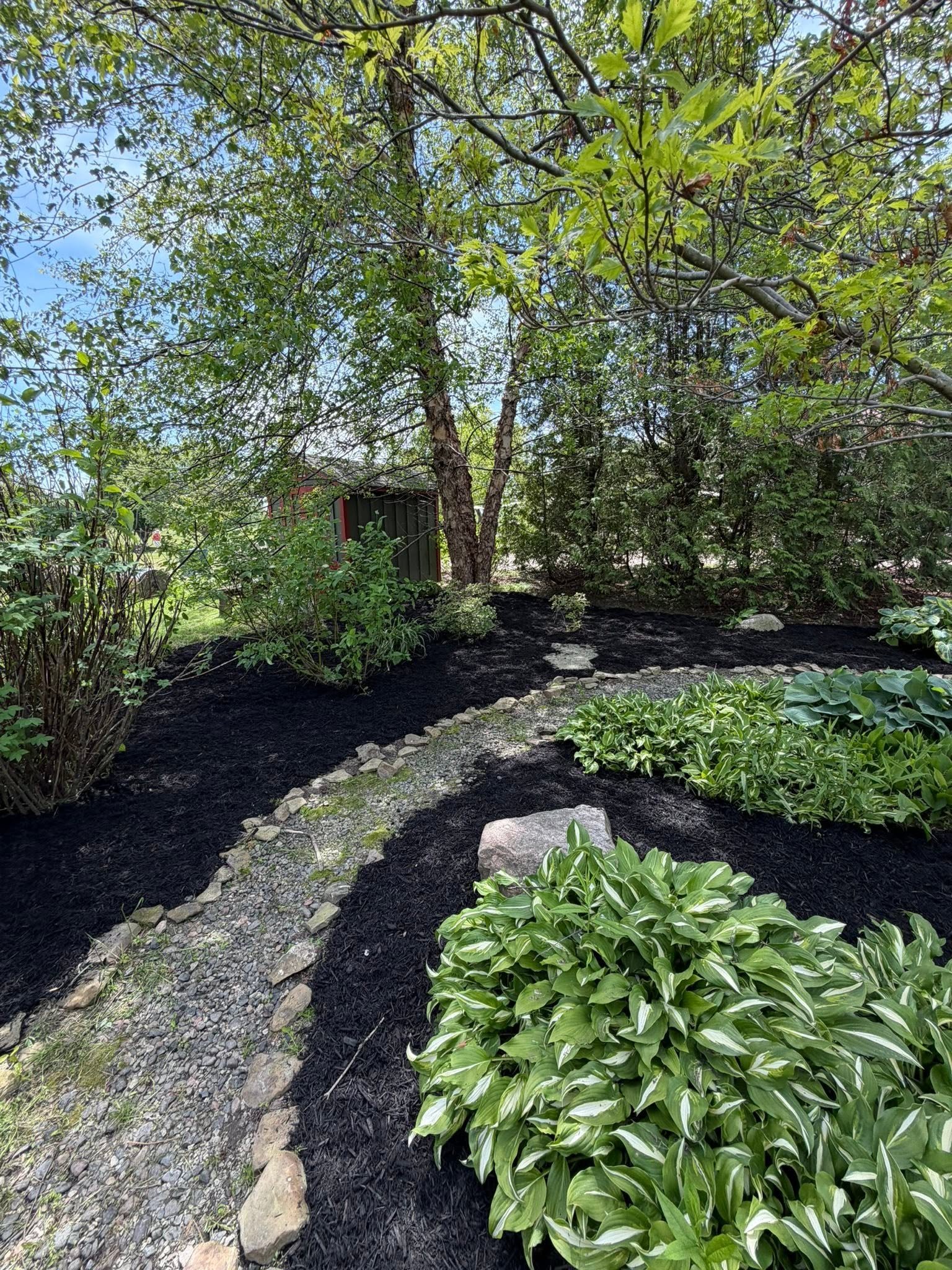 Landscape bed after restoration